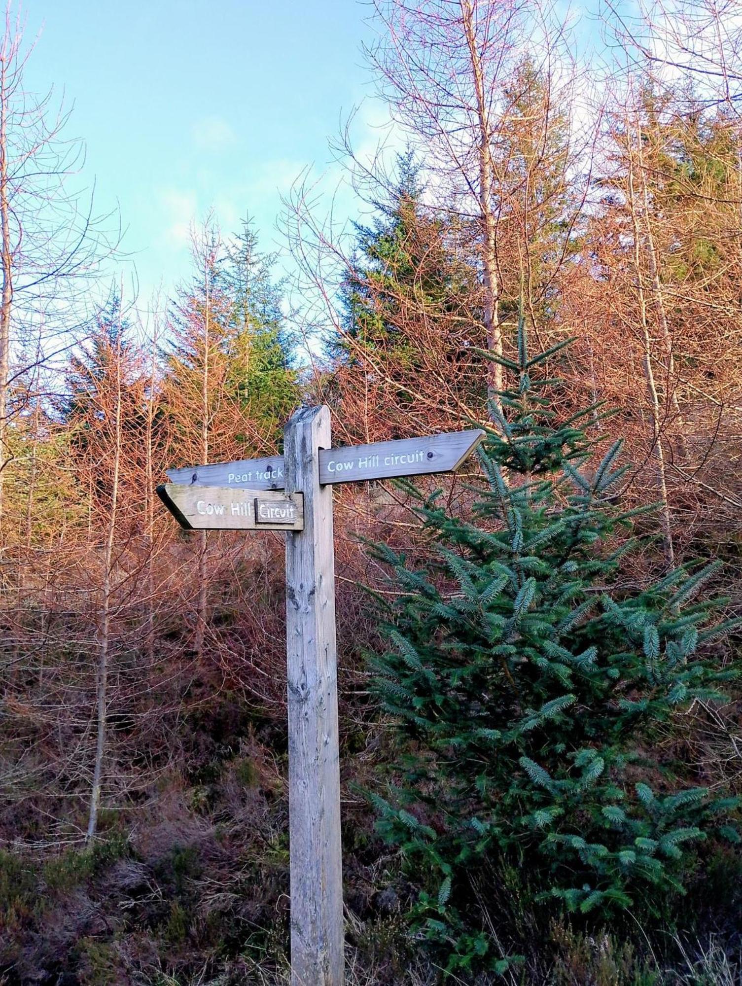 Smiddy House Bed & Breakfast Spean Bridge Eksteriør bilde