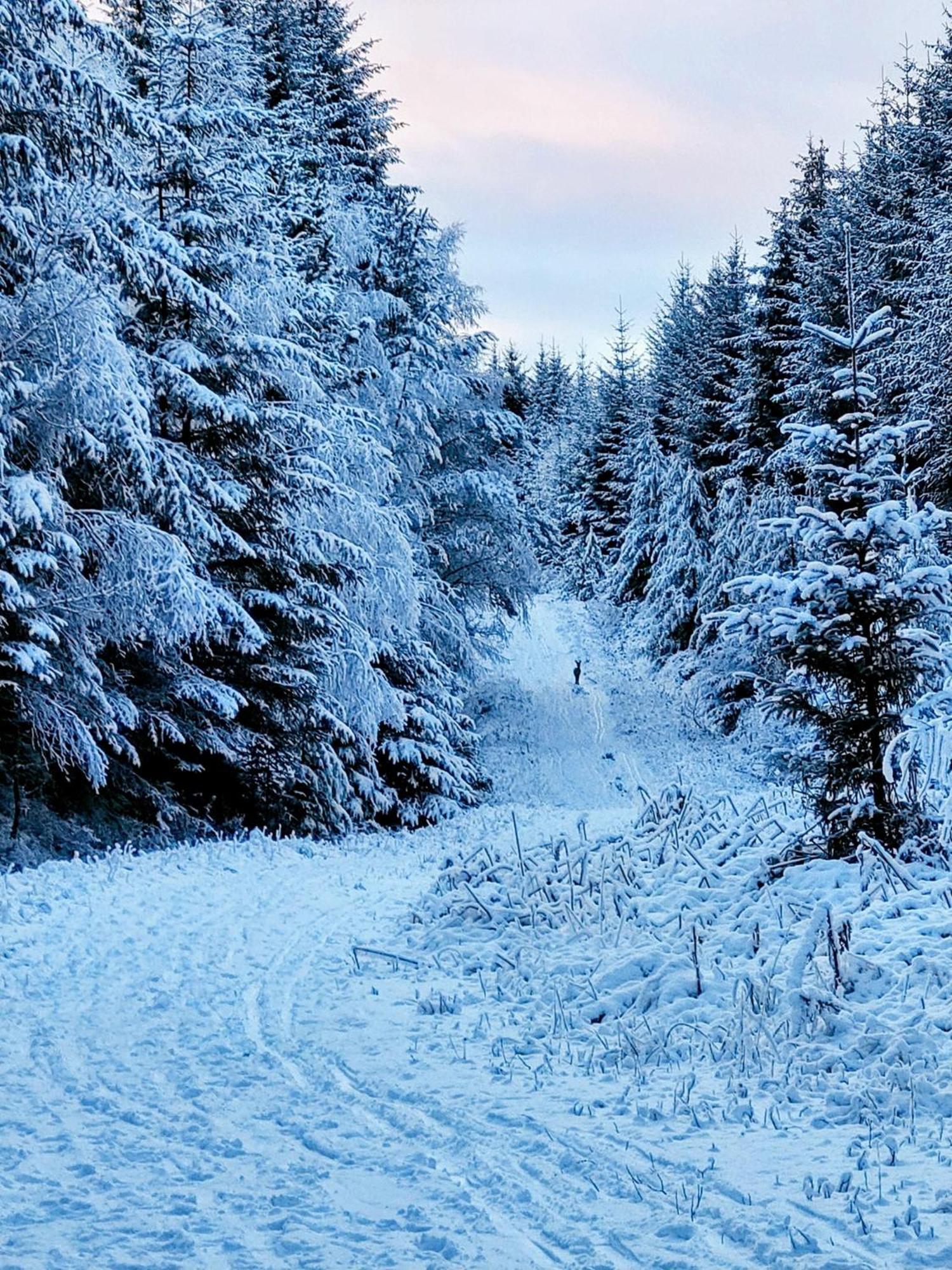 Smiddy House Bed & Breakfast Spean Bridge Eksteriør bilde